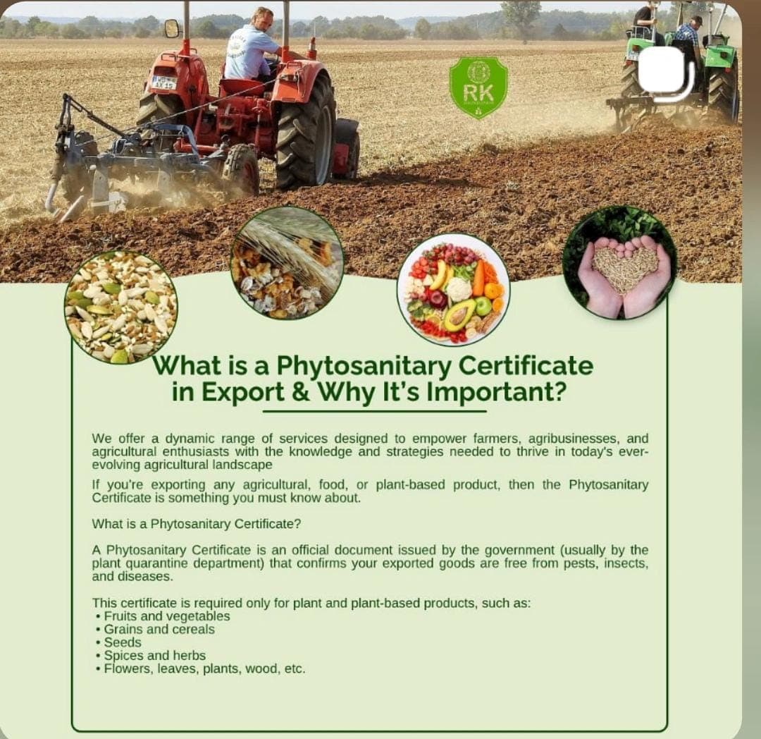 What Is a Phytosanitary Certificate in Export & Why It Matters